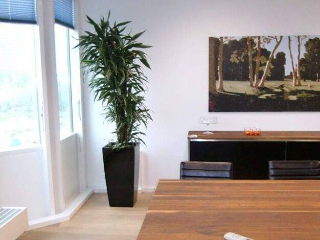 Büro zur Miete provisionsfrei 18 € 187 m² Bürofläche teilbar ab 187 m² Thalk.Obersendl.-Forsten-Fürstenr.-Solln München 81379