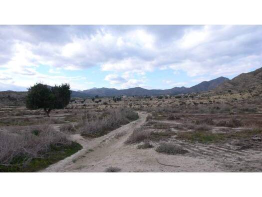 Grundstück zum Kauf provisionsfrei 195.000 € 48.295 m² Grundstück Mutxamel 03110