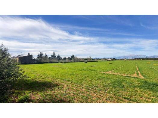 Bauernhaus zum Kauf 200.000 € 1 Zimmer 202 m² Muro 07440