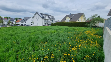 Grundstück zum Kauf 345.000 € 536 m² Grundstück Birkenfeld Birkenfeld, Enzkreis 75217