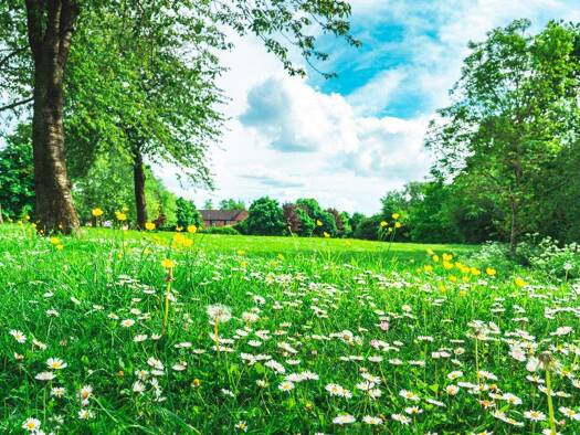Einfamilienhaus zum Kauf 10 Zimmer 470 m² 10.000 m² Grundstück Kleinkarlbach 67271