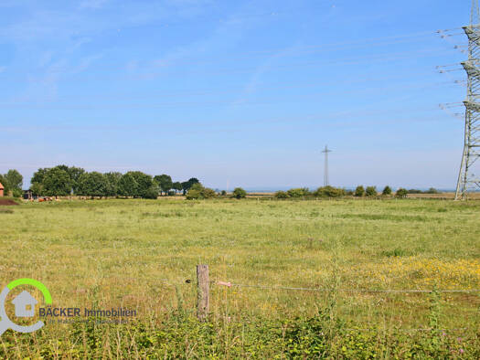 Land-/Forstwirtschaft zum Kauf 149.000 € 29.228 m² Grundstück Stemshorn 49448