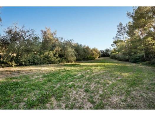 Acker-/Waldstück zum Kauf 157.000 € Lloret de Vistalegre 07518