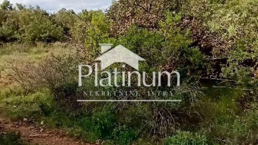 Land-/Forstwirtschaft zum Kauf Center