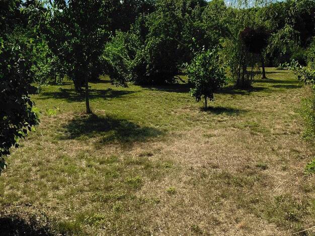 Grundstück zum Kauf provisionsfrei 296.000 € 3.362 m² Grundstück Schünower Weg Gadsdorf Am Mellensee,OT Gadsdorf 15838
