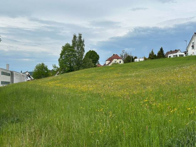 Grundstück zum Kauf 380.000 € 1.912 m² Grundstück Schnaittach Schnaittach 91220