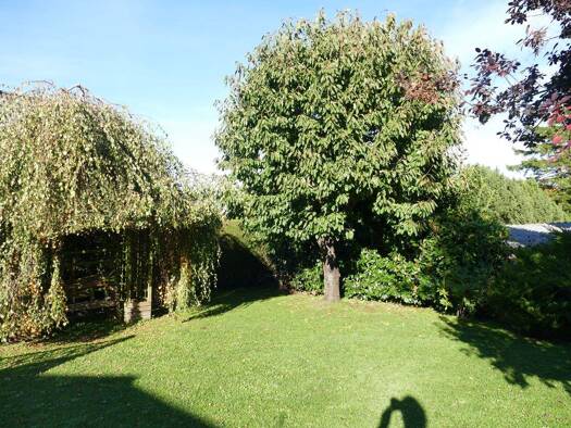 Bungalow zum Kauf 350.000 € 5 Zimmer 131,7 m² 759 m² Grundstück Elmenhorst Elmenhorst/Lichtenhagen 18107