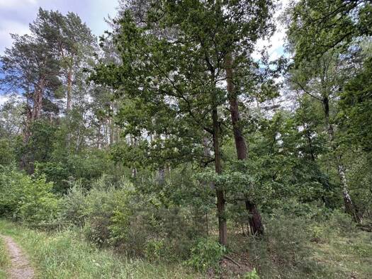 Land-/Forstwirtschaft zum Kauf 85.000 € 48.127 m² Grundstück Karwitz Karwitz 29481
