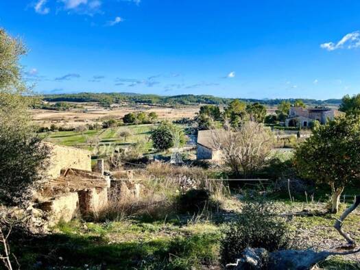 Acker-/Waldstück zum Kauf 950.000 € Sineu 07510