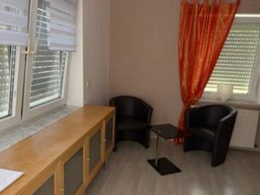 Wohnung zur Miete 640 € 1 Zimmer 29 m² Geschoss EG/1 frei ab sofort Kahl am Main 63796