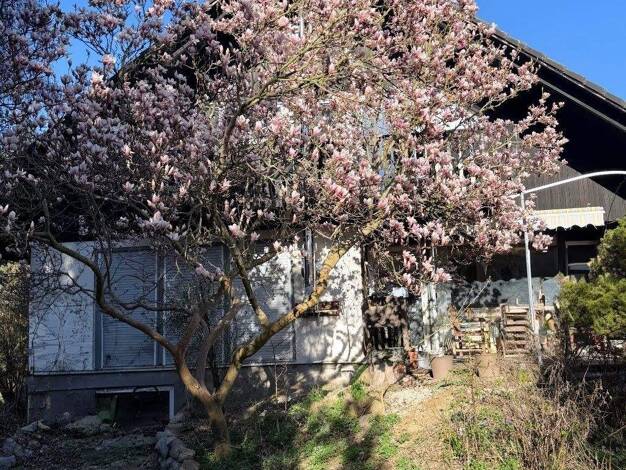 Haus zum Kauf provisionsfrei 699.000 € 8,5 Zimmer 180 m² 768 m² Grundstück Kladow Berlin 14089