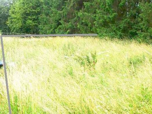 Grundstück zum Kauf 90.000 € 1.866 m² Grundstück Lissendorf 54587