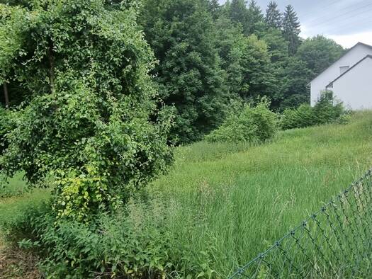 Grundstück zum Kauf 307.800 € 950 m² Grundstück Dörlbach Burgthann / Schwarzenbach 90559