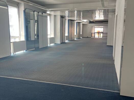 Verkaufsfläche zur Miete provisionsfrei 250 m² Verkaufsfläche Mitte Hildesheim 31134