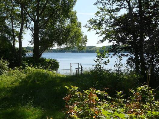 Bungalow zur Miete 541 € 1,5 Zimmer 30 m² 200 m² Grundstück frei ab sofort Petzow Werder (Havel) 14542