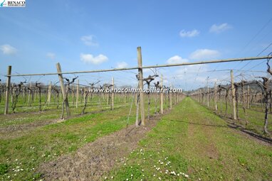 Verkaufsfläche zum Kauf 370.000 € 37.615 m² Verkaufsfläche via Garibaldi Castelnuovo del Garda 37014