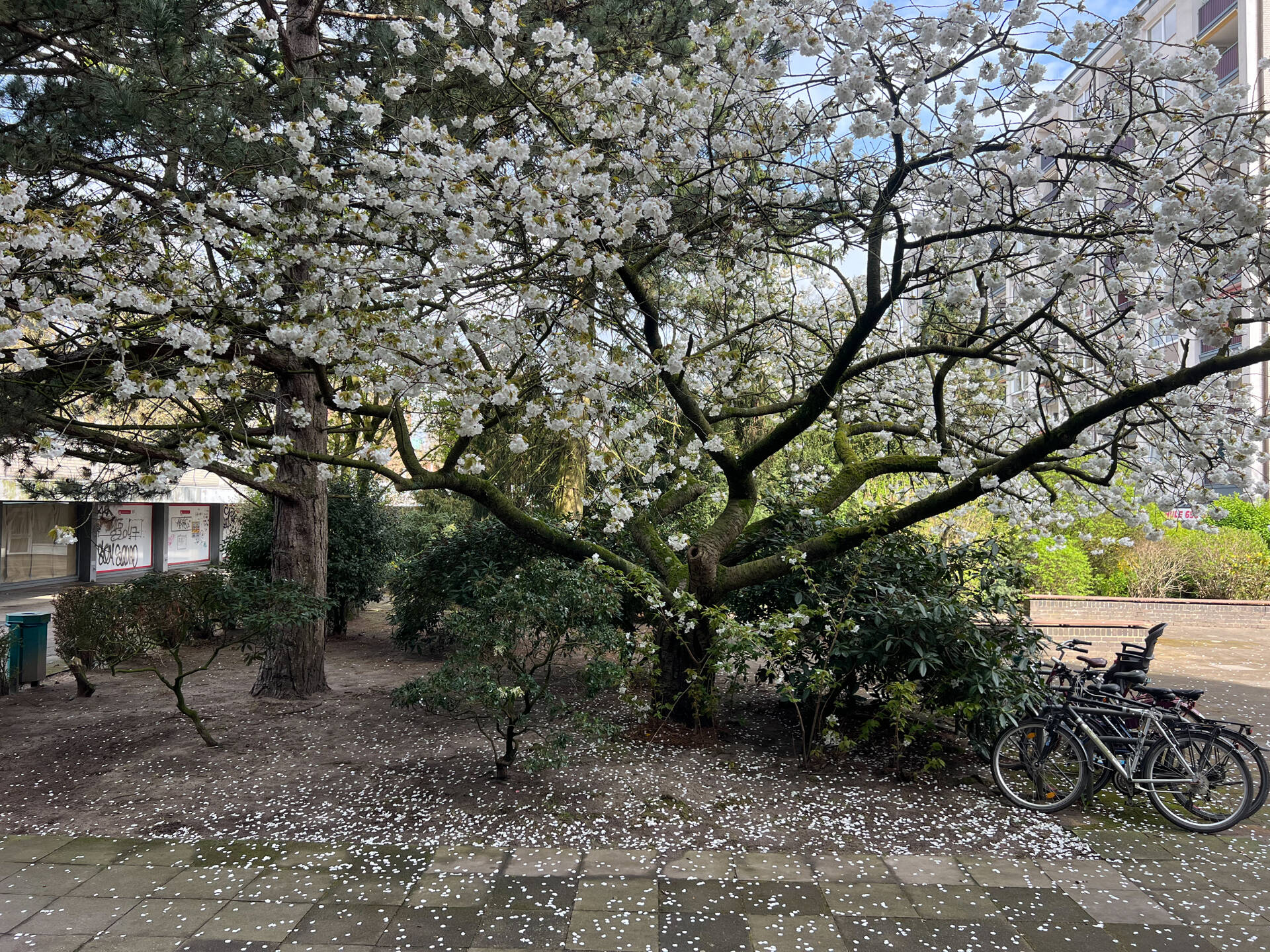 Property thumbnail 9