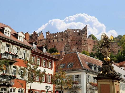 Stadthaus zum Kauf 9 Zimmer 250 m² 260 m² Grundstück Altstadt Heidelberg 69117