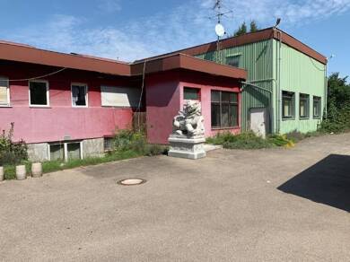 Lagerhalle zur Miete Erbach Erbach 89155