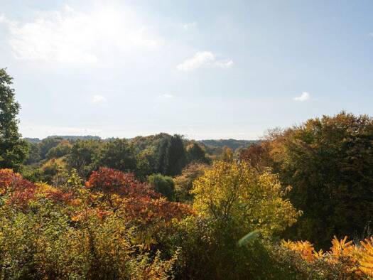 Einfamilienhaus zum Kauf 520.000 € 6 Zimmer 180 m² 1.406 m² Grundstück Seelscheid Neunkirchen-Seelscheid 53819