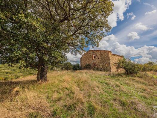 Rustico zum Kauf 250.000 € 6 Zimmer 250 m² 280.000 m² Grundstück frei ab sofort Roccalbegna