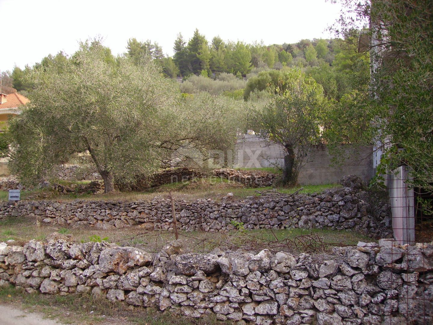 Land-/Forstwirtschaft zum Kauf 139.000 € Korcula center 20260