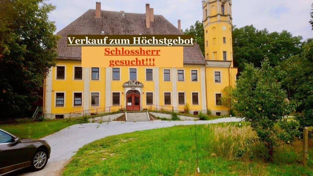 Schloss zum Kauf 699.000 € 20 Zimmer 485 m² 4.400 m² Grundstück frei ab sofort Spree Hähnichen 02923