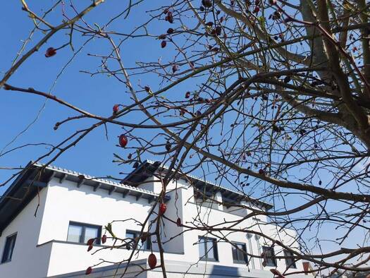 Haus zum Kauf - Erstbezug provisionsfrei 670.000 € 5 Zimmer 150 m² 297 m² Grundstück frei ab sofort Waldkraiburg 84478