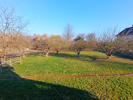 Grundstück zum Kauf 69.000 € 690 m² Grundstück Borken 34582