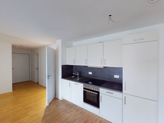 Wohnung zur Miete 934 € 2 Zimmer 84,9 m² 3. Geschoss Tramplerstraße 87 Lahr Lahr/Schwarzwald 77933