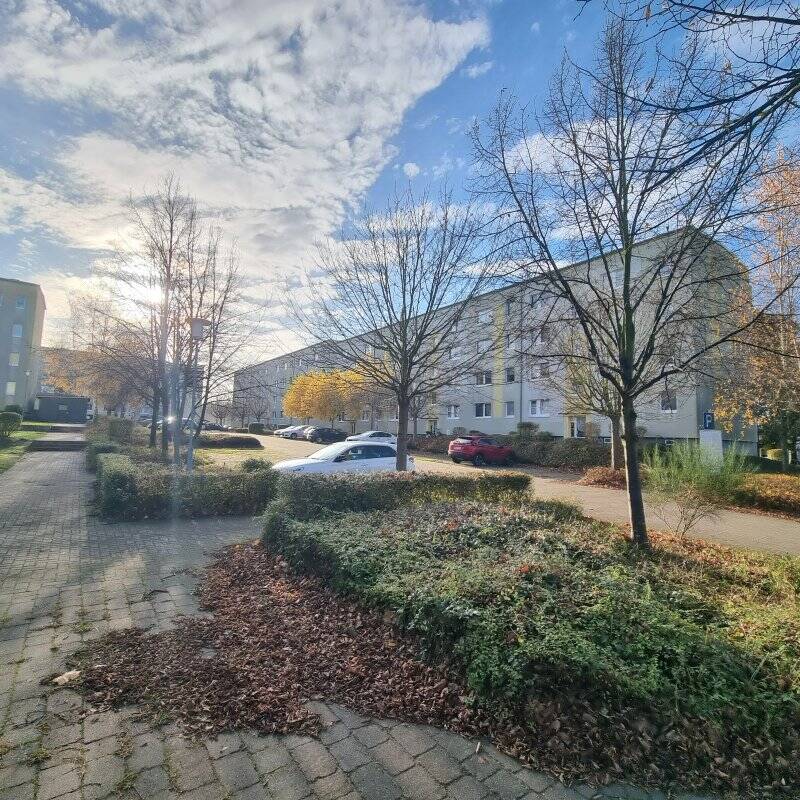 Wohnung zur Miete 379 € 2 Zimmer 50 m²<br/>Wohnfläche ab sofort<br/>Verfügbarkeit Am Volkskulturpark 28 Pasewalk Pasewalk 17309