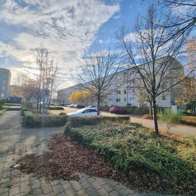 Wohnung zur Miete 379 € 2 Zimmer 50 m² frei ab sofort Am Volkskulturpark 28 Pasewalk Pasewalk 17309