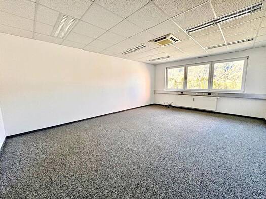 Bürofläche zur Miete 311 € 1 Zimmer 31,7 m² Bürofläche Leoben 8700