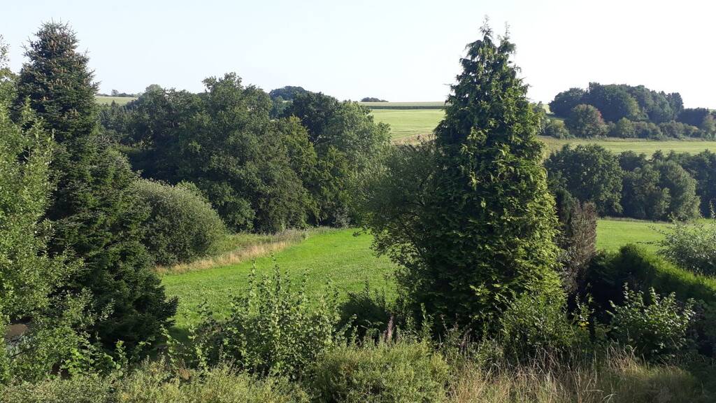 Haus zum Kauf 210.000 € 5 Zimmer 127 m² 792 m² Grundstück frei ab sofort Halver 58553