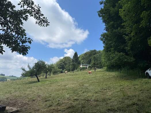 Einfamilienhaus zum Kauf 62.000 € 3 Zimmer 65 m² 1.000 m² Grundstück Hofhainersdorf Sebnitz 01855