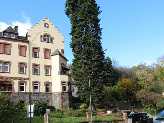 Wohnung zum Kauf 257.000 € 4 Zimmer 115 m² 1. Geschoss Saarburg 54439