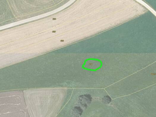 Grundstück zum Kauf provisionsfrei 78.254 € 12.039 m² Grundstück Ehingen Ehingen (Donau) 89584