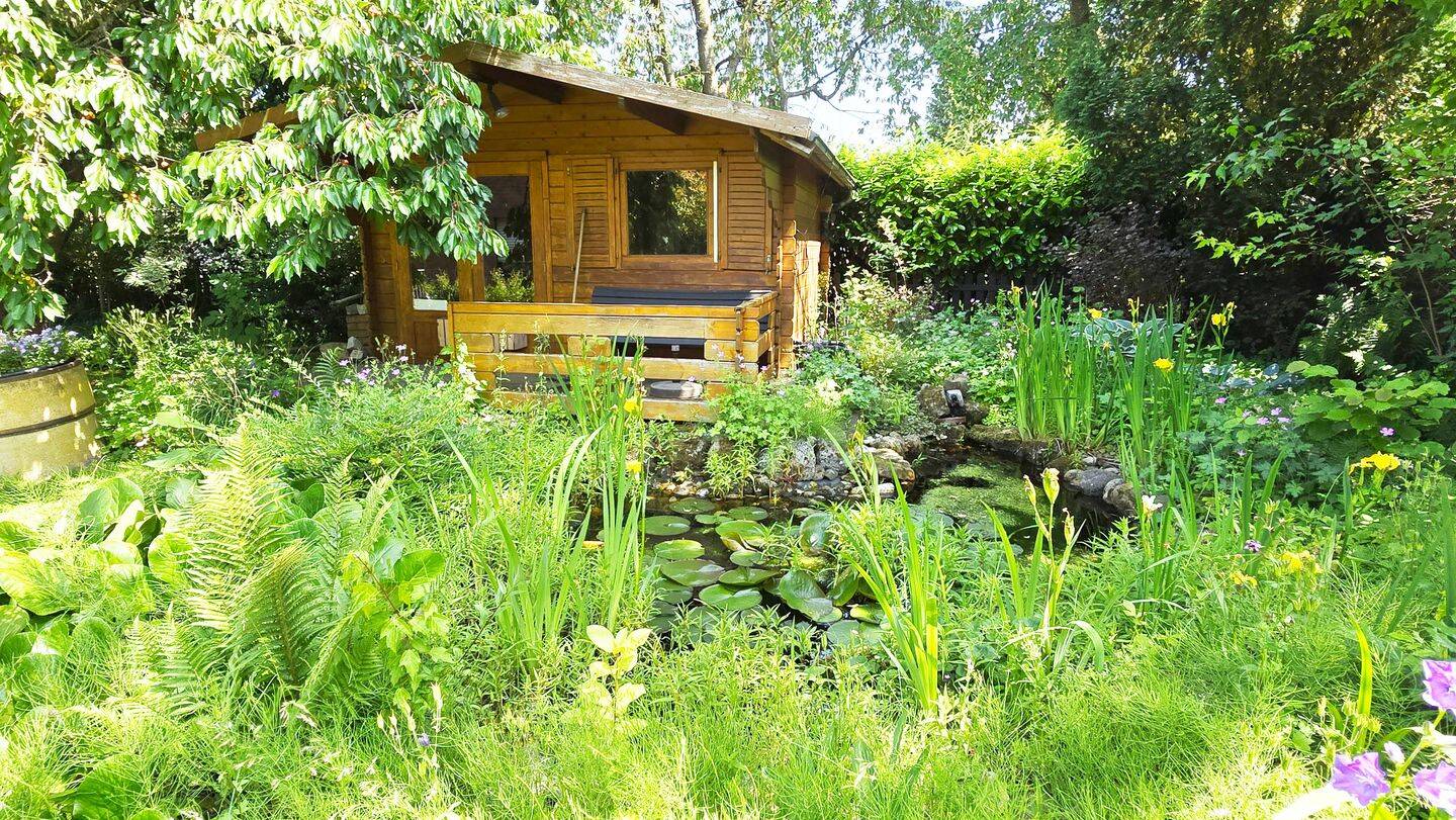House in Bad Essen, Wittlage - Ansicht 6