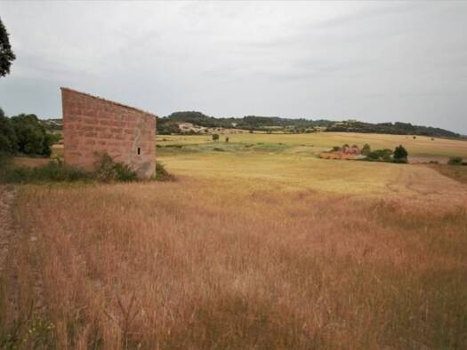 Haus zum Kauf 248.000 € 3 Zimmer 20.000 m² Grundstück Montuiri