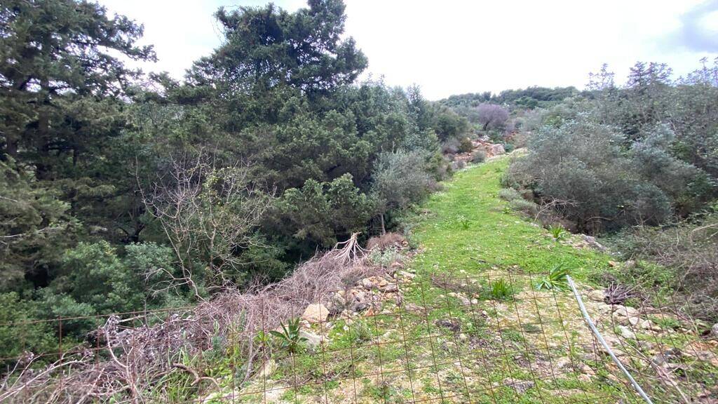 Land-/Forstwirtschaft zum Kauf 80.000 € 4.010 m² Grundstück Kreta