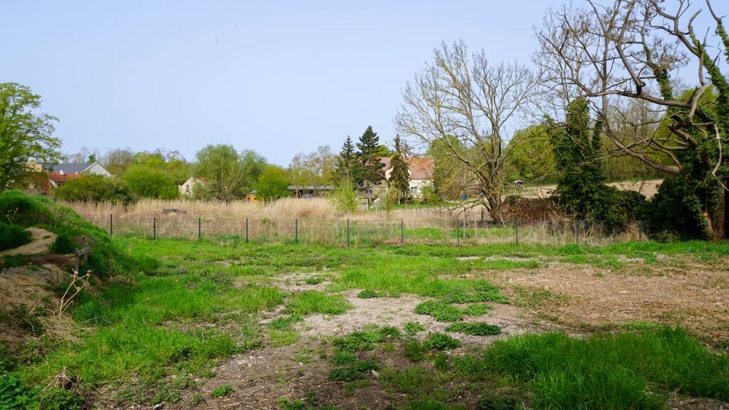 Sonstiges zum Kauf 79.000 € 503 m² Grundstück Klein Kreutz Brandenburg an der Havel 14776