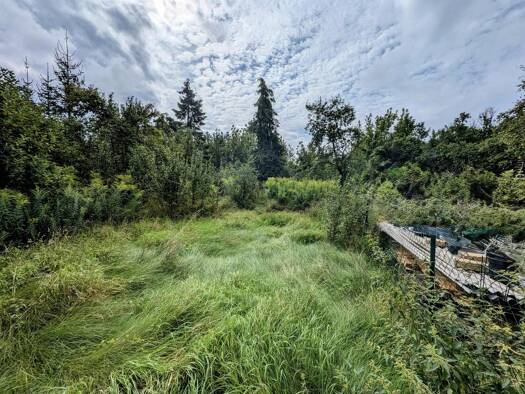 Freizeitgrundstück zur Miete provisionsfrei 175 € 200 m² Grundstück frei ab sofort Herzfelde Rüdersdorf 15378