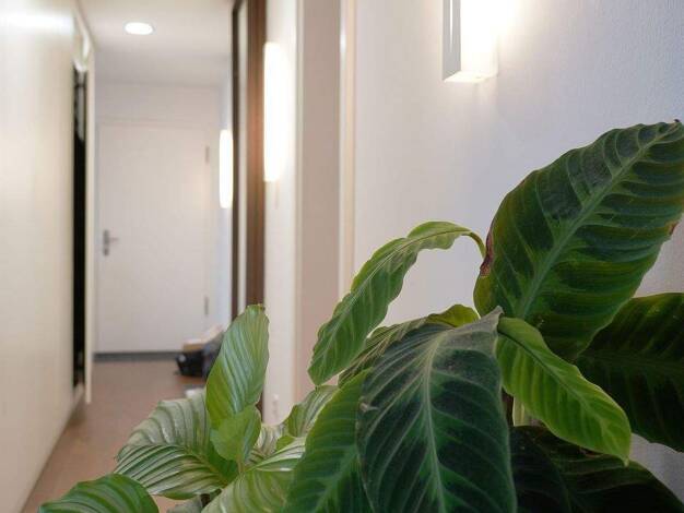 Penthouse zum Kauf als Kapitalanlage geeignet 639.000 € 2,5 Zimmer 102,9 m² Maxfeld Nürnberg 90409