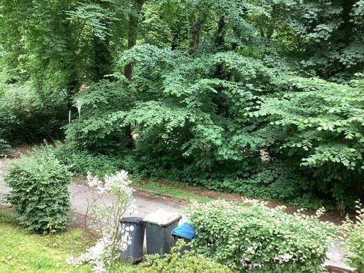 Wohnung zur Miete 679 € 2,5 Zimmer 80,9 m² frei ab 15.03.2026 Leithestr. 70 Ückendorf Gelsenkirchen 45886