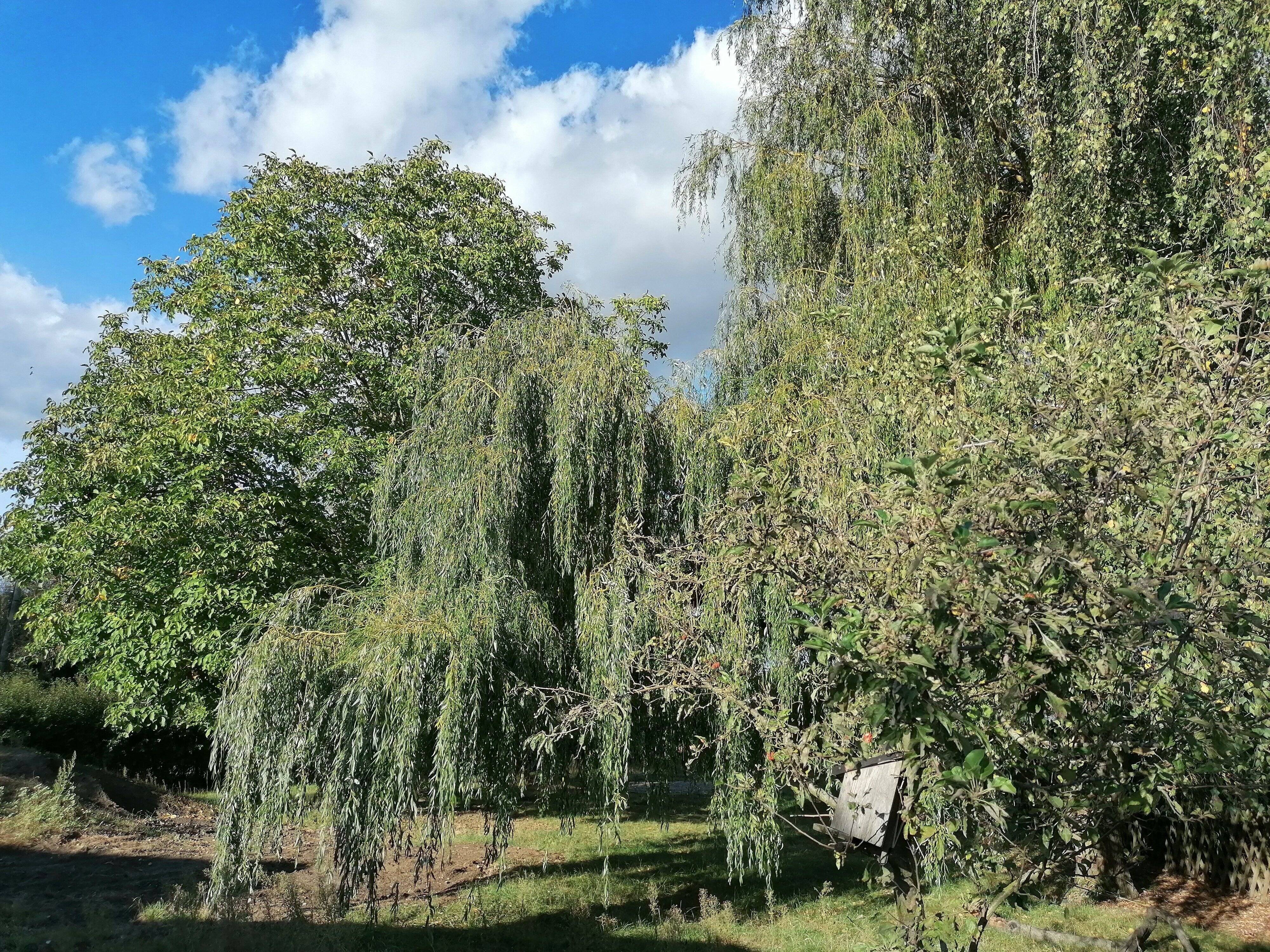 Property thumbnail 4