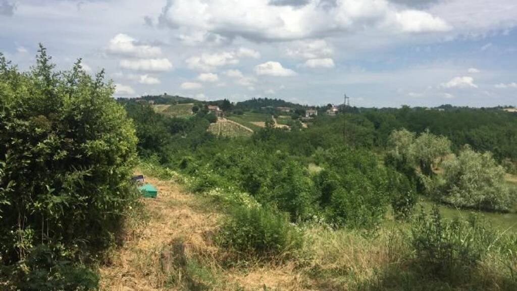 Doppelhaushälfte zum Kauf 90.000 € 12 Zimmer 186 m² 27.000 m² Grundstück frei ab sofort Cremolino 15010