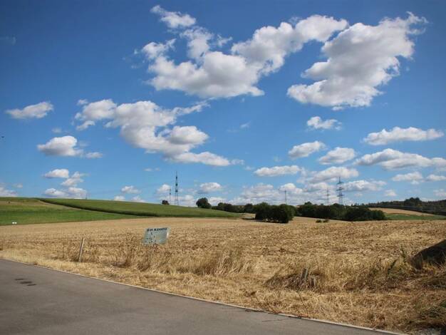 Grundstück zum Kauf als Kapitalanlage geeignet 680.000 € 1.000 m² Grundstück Bargen Helmstadt-Bargen 74921