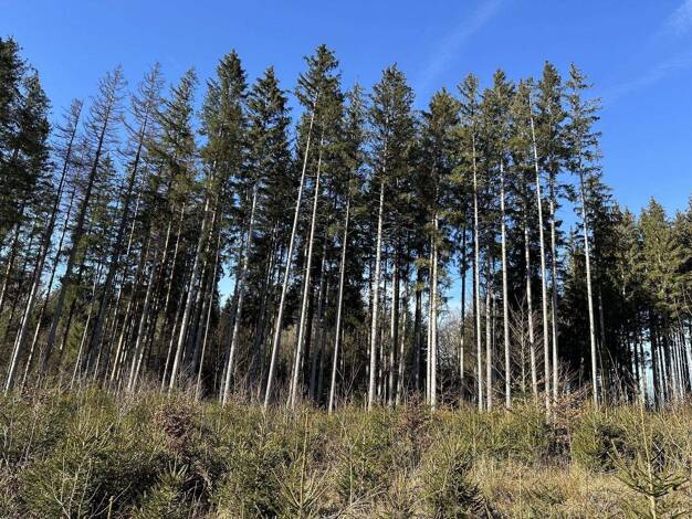 Land-/Forstwirtschaft zum Kauf 112.000 € 25.864 m² Grundstück Dießen 86911