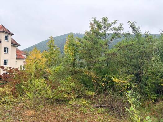 Grundstück zum Kauf 350.000 € 1.196 m² Grundstück Badenweiler 79410