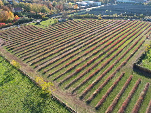 Land-/Forstwirtschaft zum Kauf 429.000 € 30.238 m² Grundstück Radewell-Osendorf Halle / Ammendorf 06132
